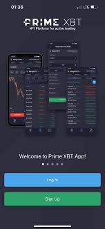 Exploring the Potential of PrimeXBT Forex Trading Pairs