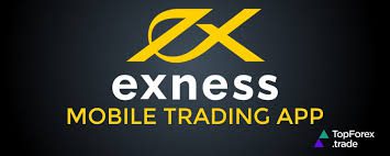 Quick Guide Exness Forgot Password - Recovery Steps and Tips Quick Guide Exness Forgot Password - Recovery Steps and Tips