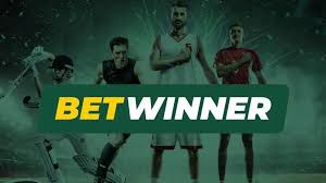 BetWinner Predictions Your Guide to Betting Success